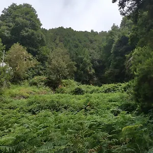 Apartamento Amaore, Paz, Hogar Y Playa, Playa de Santiago (Isla de la Gomera)